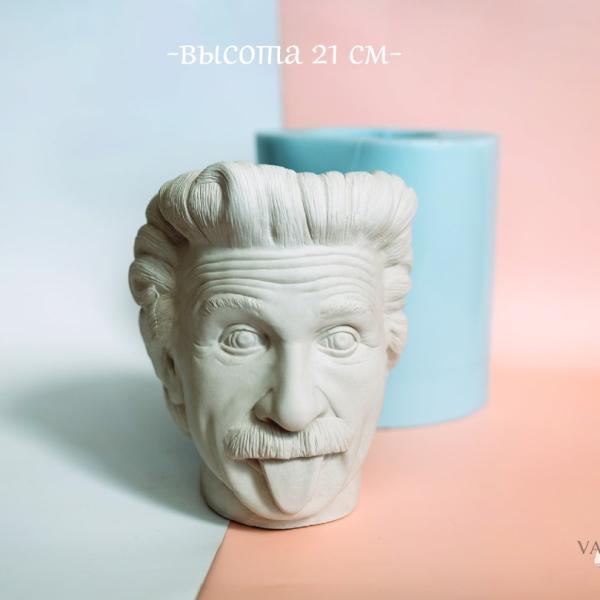 Силиконовая форма "Энштейн"