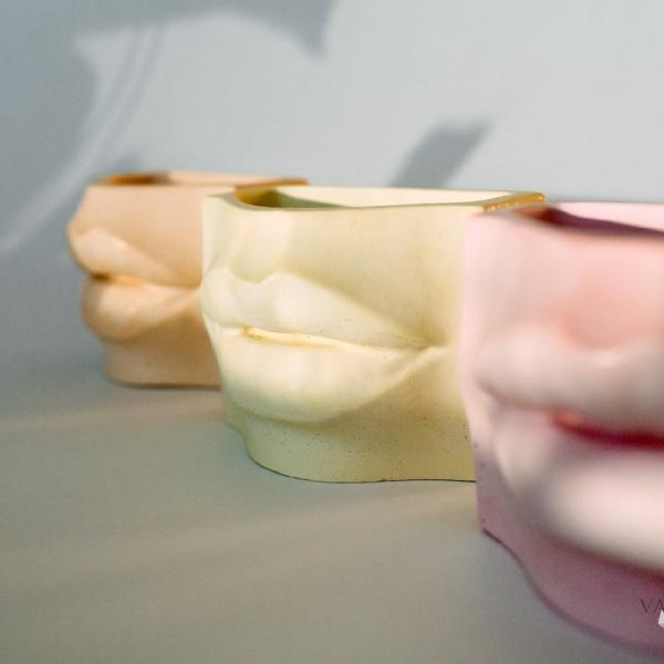 Силиконовая форма "Губы Венеры"